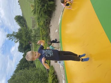 45871.jpg