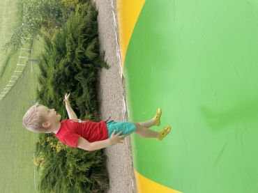 45887.jpg